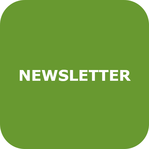 Newsletters of the projects