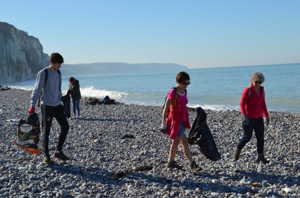 Waste Collection in Dieppe’s beach